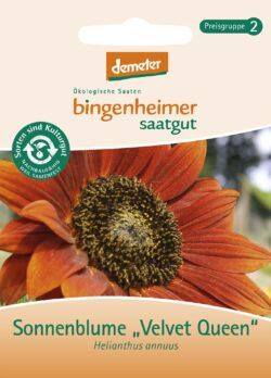 Bingenheimer Saatgut Sonnenblume Velvet Queen - Blumen (Saatgut) 1 Stück