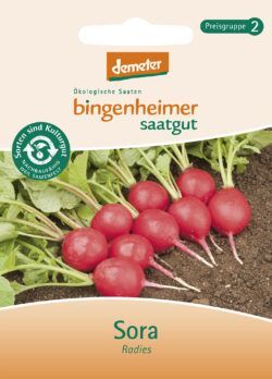 Bingenheimer Saatgut Sora - Radies (Saatgut) 1 Stück