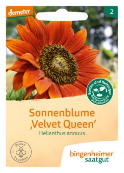 Bingenheimer Saatgut Sonnenblume Velvet Queen - Blumen (Saatgut) 5 x 1 Stück