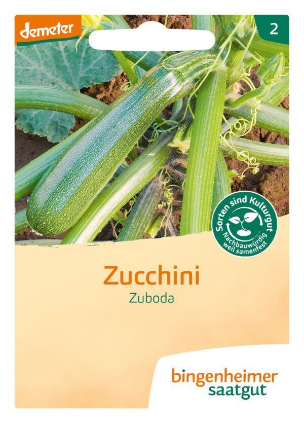 Bingenheimer Saatgut Zuboda - Zucchini (Saatgut) 5 x 1stück