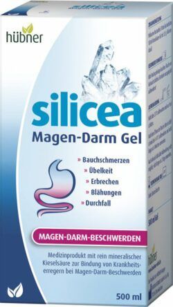 Hübner Original silicea® Magen-Darm Gel 500ml