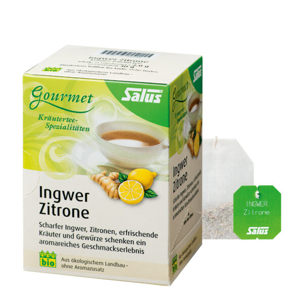 Salus® Gourmet Ingwer Zitrone Kräutertee bio 15 FB 6 x 30g