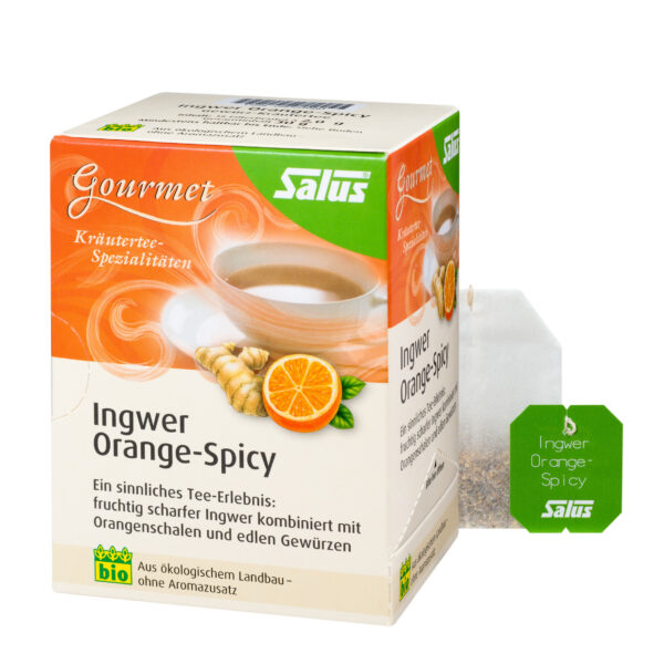 Salus® Gourmet Orange-Spicy Ingwer Tee bio 15 FB 6 x 30g