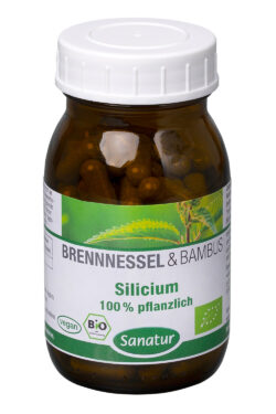 Sanatur Silicium 100% pflanzlich, Bio 36g