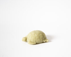 Savon du Midi Seife in Schildkröten Form mit Lemongras-Öl 50g COSMOS ORGANIC 8 x 50g