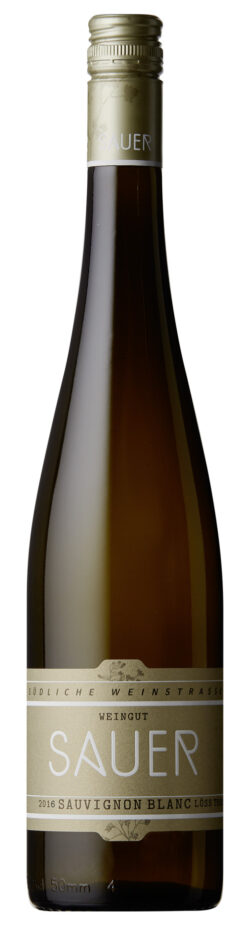 Weingut Sauer Sauvignon Blanc Löss 6 x 0,75l