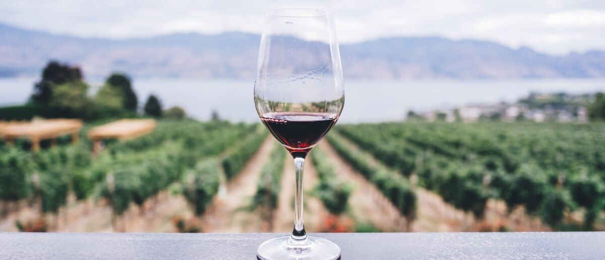 Bio-Rotwein im Glas vor Weinberg im Hintergrund